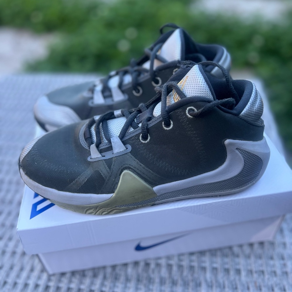 Giannis Antetokounmpo Nike Freak 1 Black/Silver Size 6